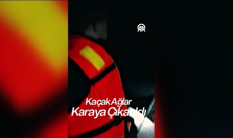 Sakarya'da kaçak avcılıkta kullanılan ağlara takılan balıklar göle salındı