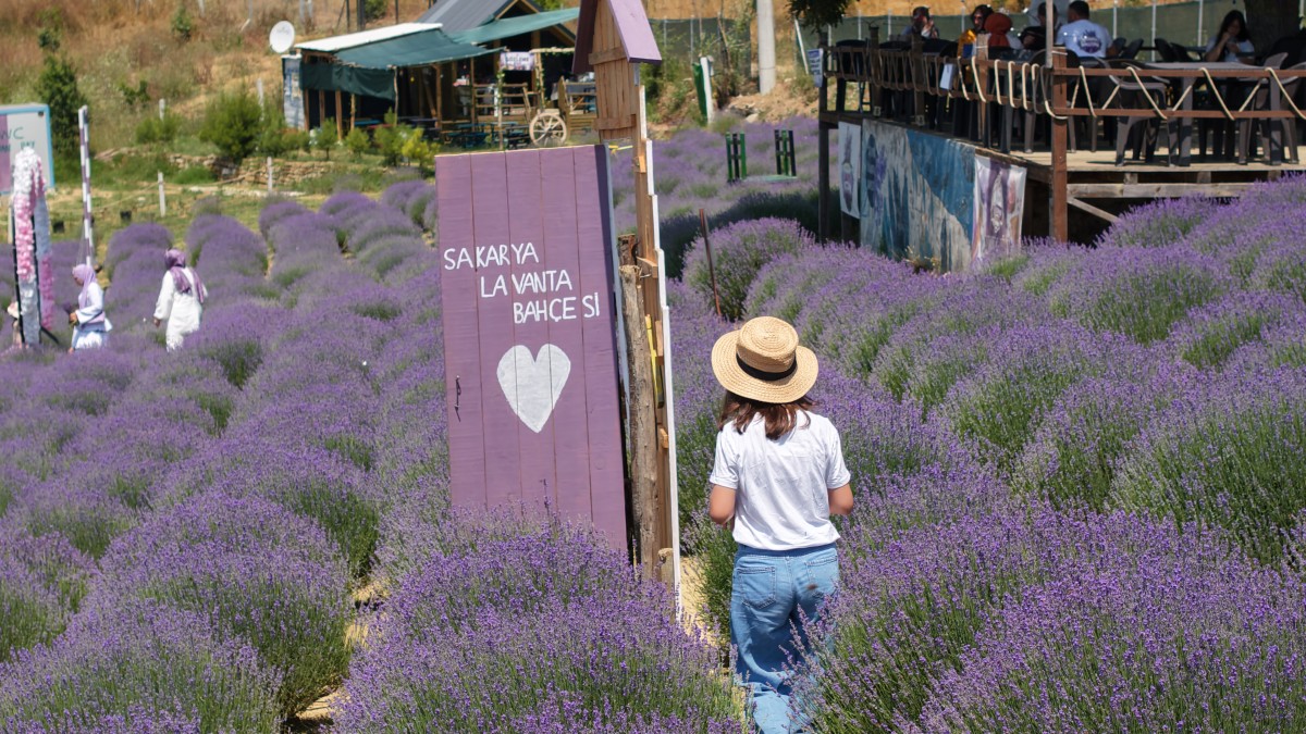 Süleyman Acar ''Sakarya 