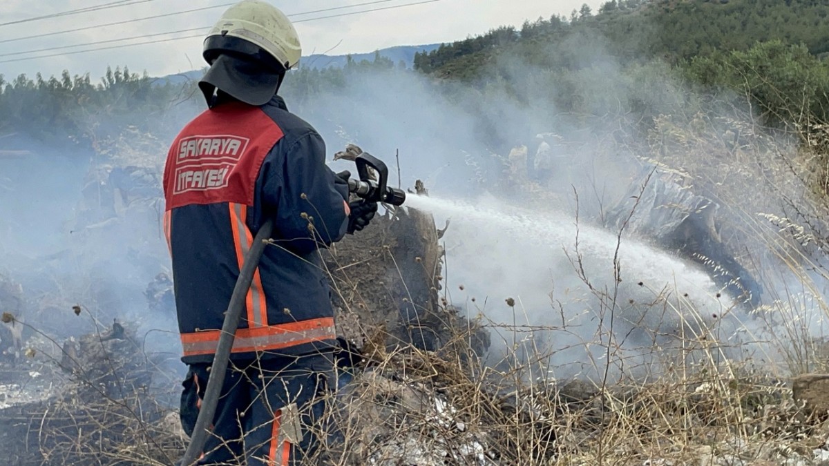 Sakarya'da makilik alanda çıkan yangın söndürüldü