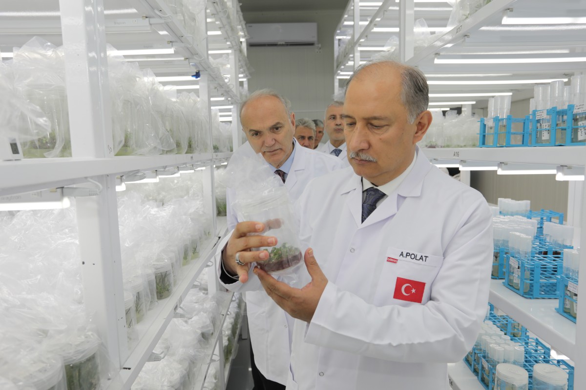 Abdülkadir Polat’tan Sapanca Doku Kültürü Laboratuvarı’na  Tam Not