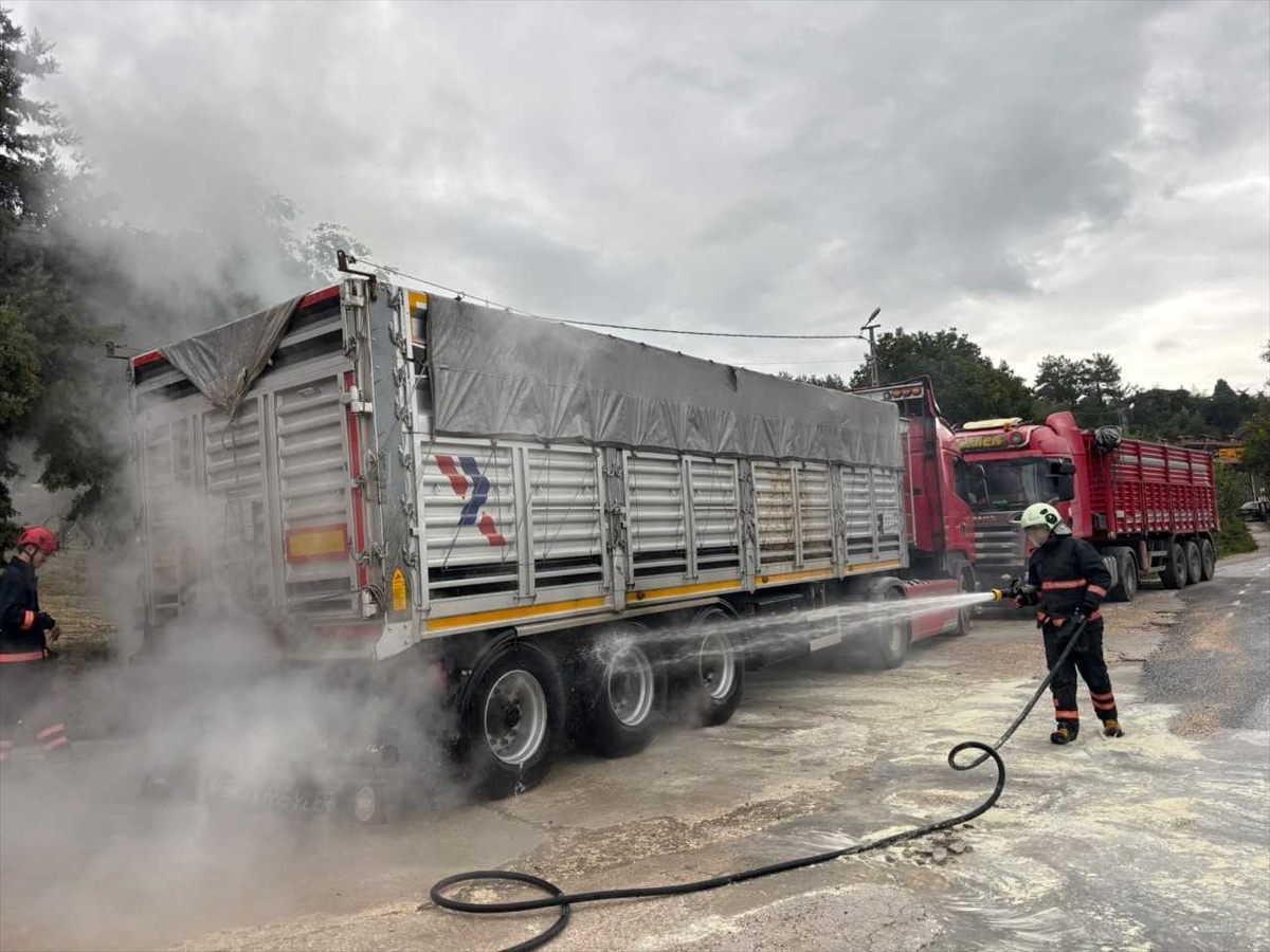 Sakarya'da tırın balatalarında çıkan yangın söndürüldü