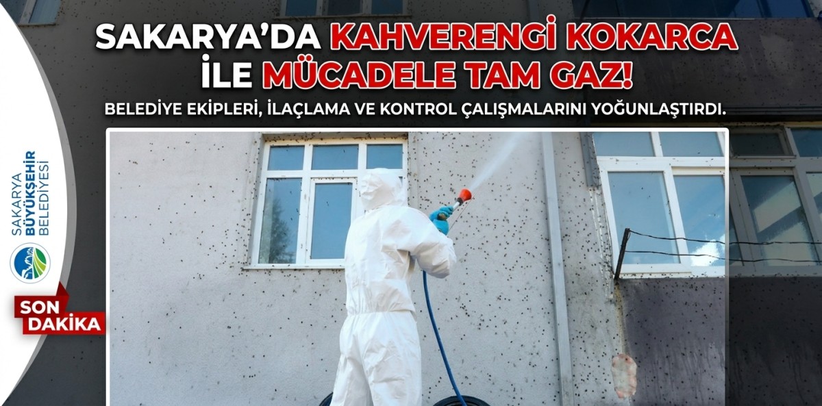 Sakarya'da kahverengi kokarca ile mücadele çalışmaları sürüyor